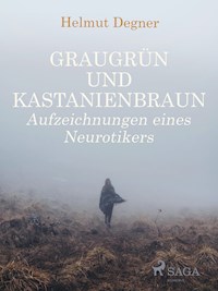 Graugrün und Kastanienbraun. Aufzeichnungen eines Neurotikers - Helmut Degner - ebook