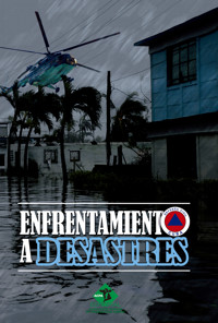 Enfrentamiento a desastres - Colectivo de Autores - ebook