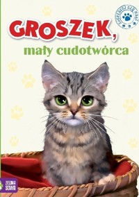 Groszek,mały cudotwórca - Marzena Kwietniewska-Talarczyk - ebook