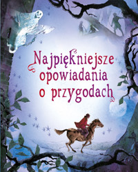 Najpiękniejsze opowiadania o przygodach - Magdalena Staroszczyk (tłum.), Michał Sufin (tłum.) - książka