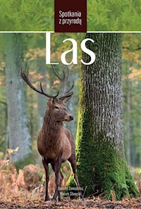Las Spotkania z przyrodą - Zawadzka Dorota, Sławski Marek - książka