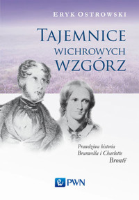 Tajemnice wichrowych wzgórz. Prawdziwa historia Branwella i Charlotte Brontë - Eryk Ostrowski - książka