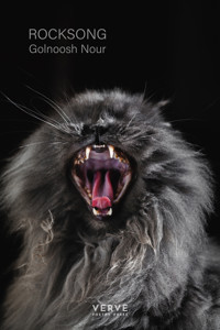 Rocksong - Golnoosh Nour - ebook