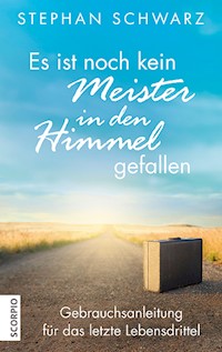 Es ist noch kein Meister in den Himmel gefallen - Stephan Schwarz - ebook