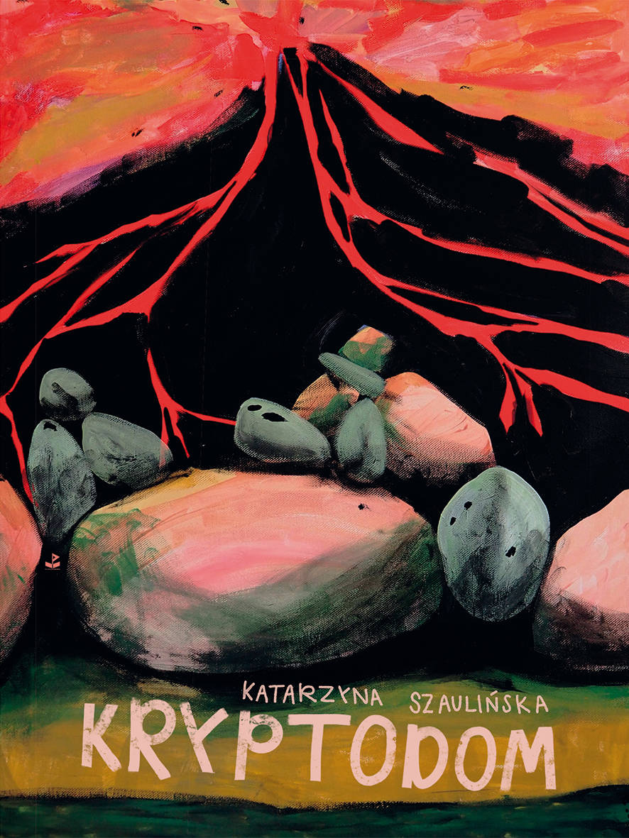 Kryptodom - Katarzyna Szaulińska - ebook + książka
