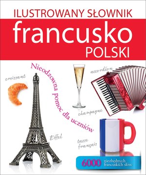 Ilustrowany słownik francusko-polski - Tadeusz Woźniak - książka