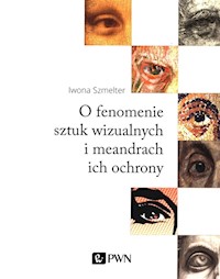 O fenomenie sztuk wizualnych i meandry ich ochrony - Szmelter Iwona - książka