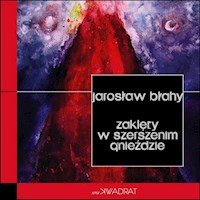 Zaklęty w szerszenim gnieździe - Błahy Jarosław - książka