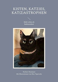 Kisten, Katzies, Kat(z)astrophen - Norbert Neumann - ebook