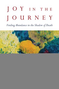 Joy in the Journey - Steve Hayner - ebook