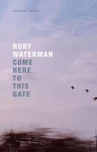 Come Here To This Gate - Rory Waterman - ebook