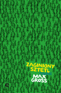 Zaginiony sztetl - Gross Max - książka