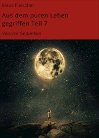 Aus dem puren Leben gegriffen Teil 7 - Klaus Fleischer - ebook