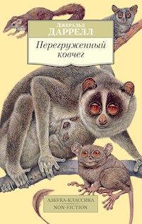 Перегруженный ковчег - Джеральд Даррелл - ebook