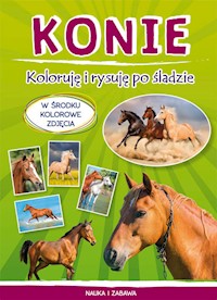 Konie Koloruję i rysuję po śladzie - Myślak Monika - książka