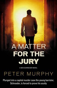 A Matter for the Jury - Peter Murphy - ebook