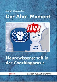 Der Aha!-Moment - Margit Stockdreher - ebook