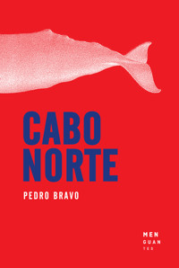 Cabo Norte - Pedro Bravo Aguilar - ebook