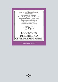 Lecciones de Derecho Civil Patrimonial - María José Santos Morón - ebook