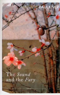 The Sound And The Fury - William Faulkner - ebook + książka