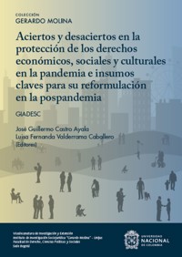Aciertos y desaciertos en la protección de los derechos económicos sociales y culturales en la pandemia e insumos claves para su reformulación en la pospandemia - Aura María Paulsen Cárdenas - ebook