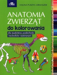 Anatomia zwierząt do kolorowania - Purzyc-Orwaszer Halina - książka