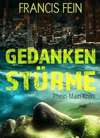 Gedankenstürme - Francis Fein - ebook