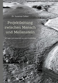 Projektleitung zwischen Mensch und Meilenstein - Susanne Claßen - ebook