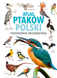 Atlas ptaków Polski - dr Magdalena Janiszewska, dr Radosław Włodarczyk - książka
