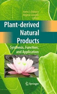 Plant-derived Natural Products -  - ebook