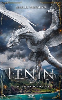Fenin - Wähle dein Schicksal - Marcel Breidung - ebook
