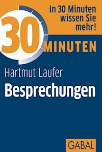 30 Minuten Besprechungen - Hartmut Laufer - ebook