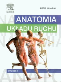 Anatomia układu ruchu - Ignasiak Zofia - książka