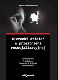 Kierunki działań w przestrzeni resocjalizacyjnej -  - książka