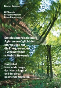 Erst das interdisziplinäre Agieren ermöglicht den klaren Blick auf die Energiewende + Wärmewende + Mobilitätswende - Dieter Mende - ebook
