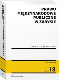 Prawo międzynarodowe publiczne w zarysie - Góralczyk Wojciech, Sawicki Stefan - książka