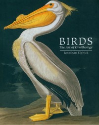 Birds - Elphick Jonathan - książka