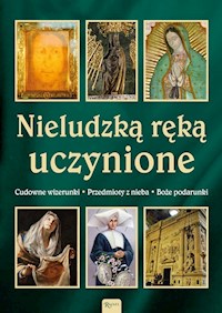 Nieludzką ręką uczynione - Pabis Małgorzata, Bejda Henryk, Rak Piotr - książka