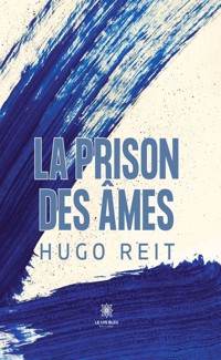 La prison des âmes - Hugo Reit - ebook