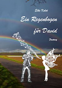 Ein Regenbogen für David - Elke Kulot - ebook