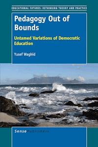 Pedagogy Out of Bounds - Yusef Waghid - ebook