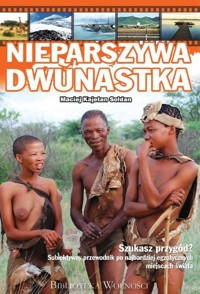 Nieparszywa dwunastka - Sołdan Maciej Kajetan - książka