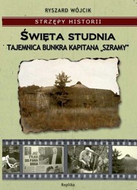 Święta studnia - Wójcik Ryszard - książka