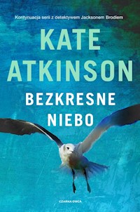 Bezkresne niebo - Atkinson Kate - książka