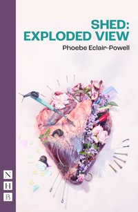Shed: Exploded View - Phoebe Eclair-Powell - ebook