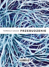 Przebudzenie - Sałek Tomasz - książka