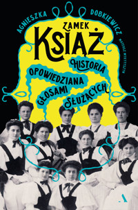 Zamek Książ. Historia opowiedziana głosami służących - Mateusz Mykytyszyn, Agnieszka Dobkiewicz - książka