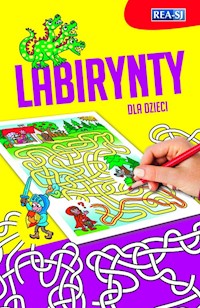 Labirynty - zbiorowa praca - książka