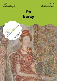 Po burzy - Adolf Abrahamowicz - ebook
