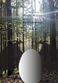 Anita Miller Drachenhexe - Christine Stutz - ebook